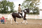 SBM_00644