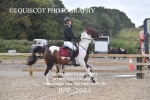 BPP_2644