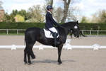British Dressage portfolio