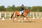 SBM_010499