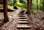 Steps to Nowhere