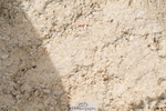 250613A-083844-00983