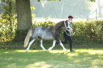SBM_57941
