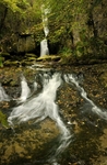 Catrigg Force