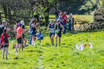 The Finish-538