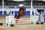 SBM_000587