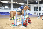 SBM_003356