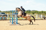 SBM_005322