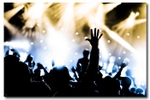 Concert Crowd