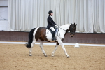 SBM_003568