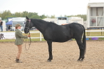 SBM_07909