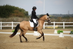 SBM_001215