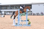 BPP_8556