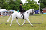 SBM_02703