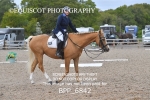 BPP_6842