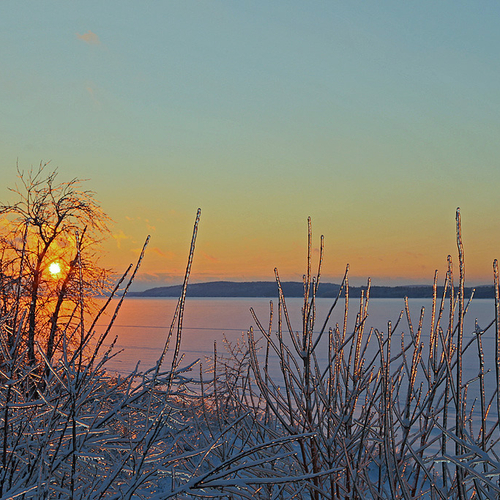 The long rays of the late afternoon sun show off the thoroughness of the icy coating.