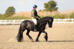 SBM_06857