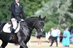 Class 31 Dressage Intro 2 portfolio