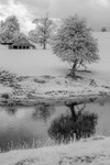 Dallam Deer Shelter 01