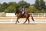 SBM_006392