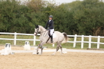 SBM_00706