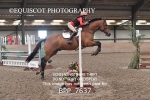 BPP_7637