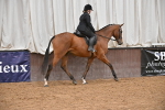 SBM_002995
