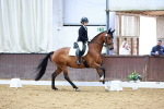 SBM_002309