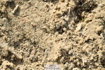 251004A-155419-02008