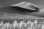 IMG_0674
