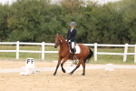 Class 7 - Novice 24 Warm up portfolio