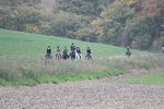 WJ7_9001