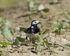 20110422-IMG_4707