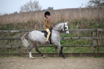 SBM_004653