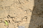 251004A-125417-01037