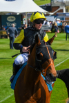 270523-Race 5-Starnberg-0723