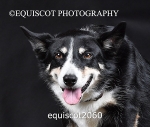 equiscot2060