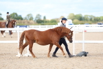 SBM_18684