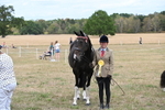 WJ6_5773