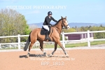 BPP_1813