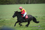 SHETPR 210425 132
