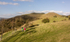 8382 Towards Lan Fawr and Corndon Hill