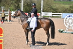 Cls 29, YH 6yr 1.20m portfolio