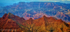 Canyon Wilderness
