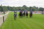 250726-Race 6-Likealot-7634