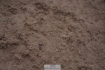 240713A-103340-00331