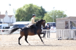 SBM_10822
