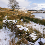 Landscape portfolio