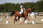 SBM_022529