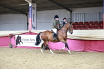 SBM_08403